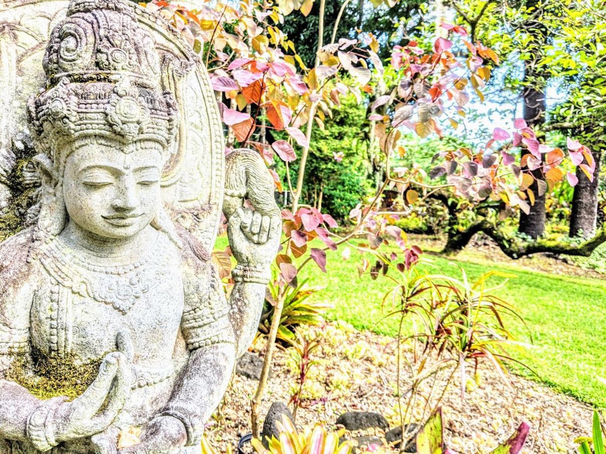 Kehena Mauka Nui Club Lgbtqia+ Clothing Optional Bed & Breakfast Pahoa ภายนอก รูปภาพ