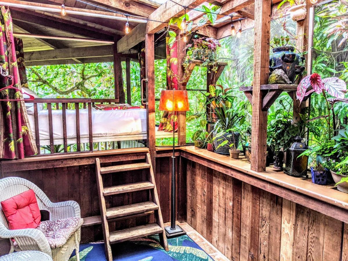 Kehena Mauka Nui Club Lgbtqia+ Clothing Optional Bed & Breakfast Pahoa ห้อง รูปภาพ