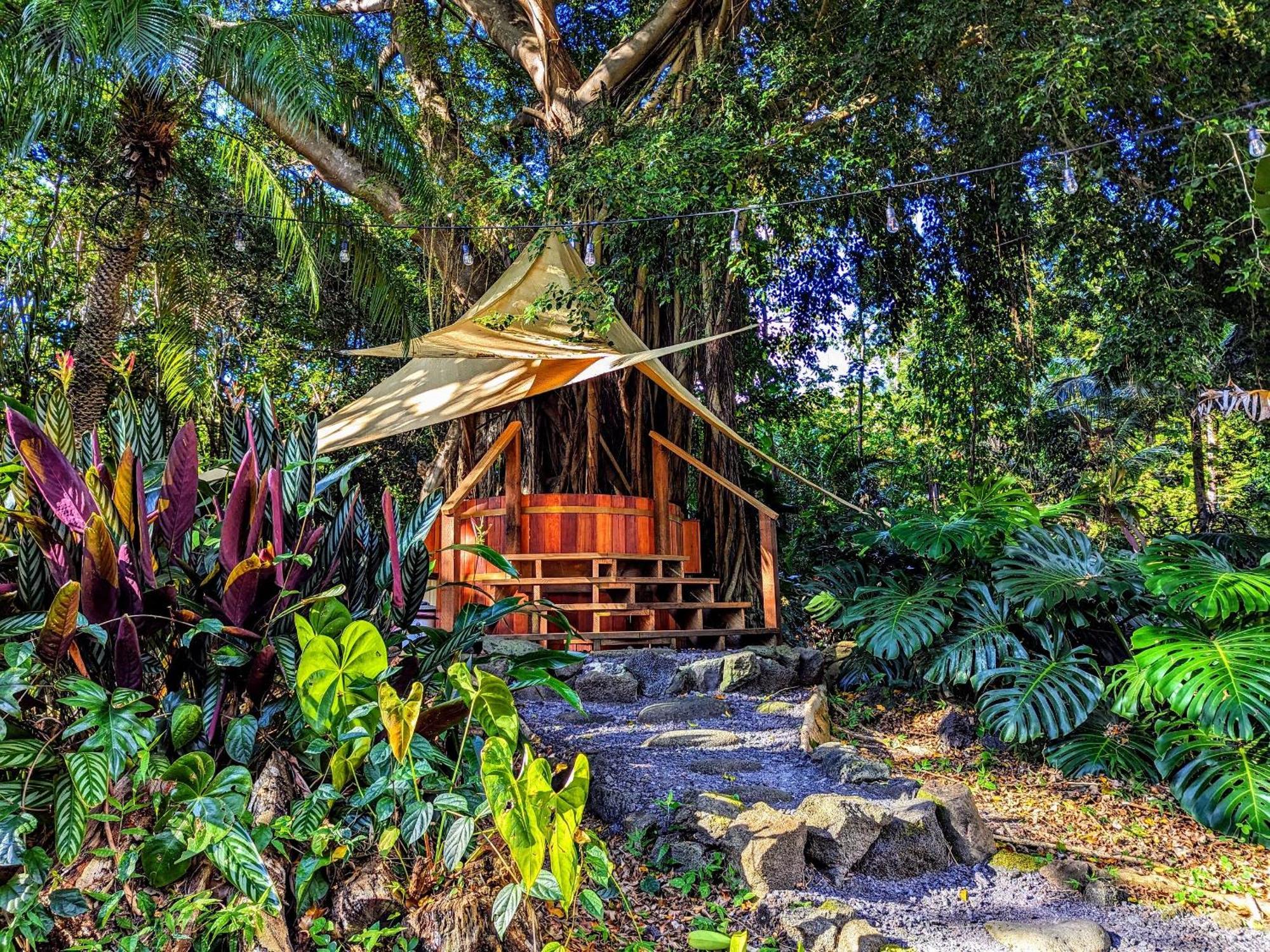 Kehena Mauka Nui Club Lgbtqia+ Clothing Optional Bed & Breakfast Pahoa ภายนอก รูปภาพ