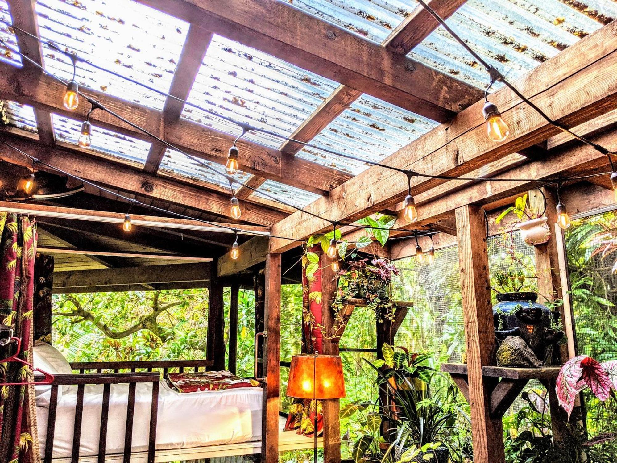 Kehena Mauka Nui Club Lgbtqia+ Clothing Optional Bed & Breakfast Pahoa ห้อง รูปภาพ